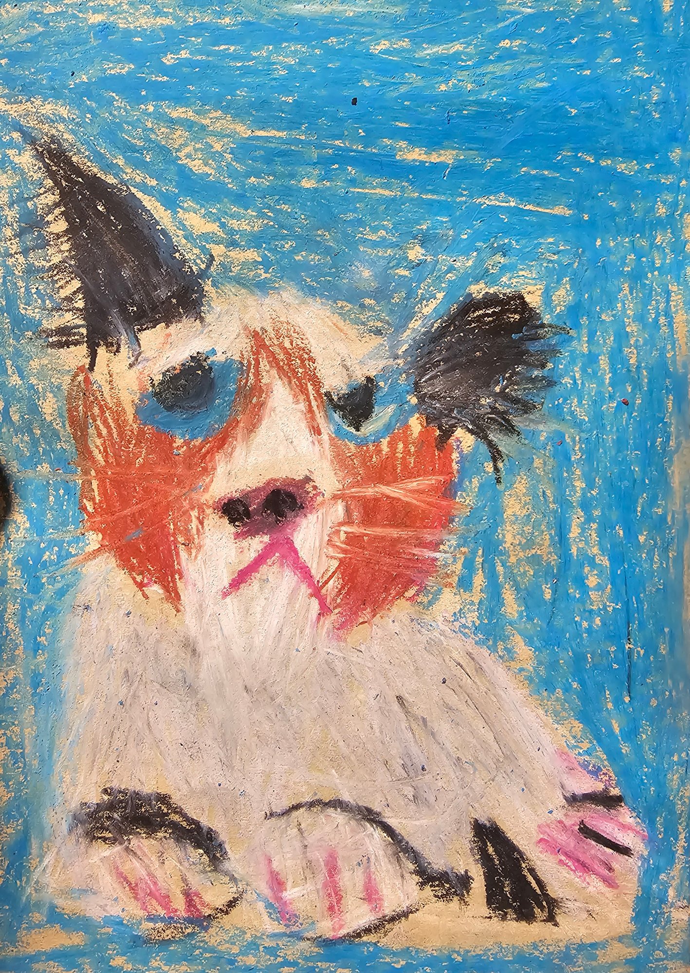 20260109_151624 20260109_151624