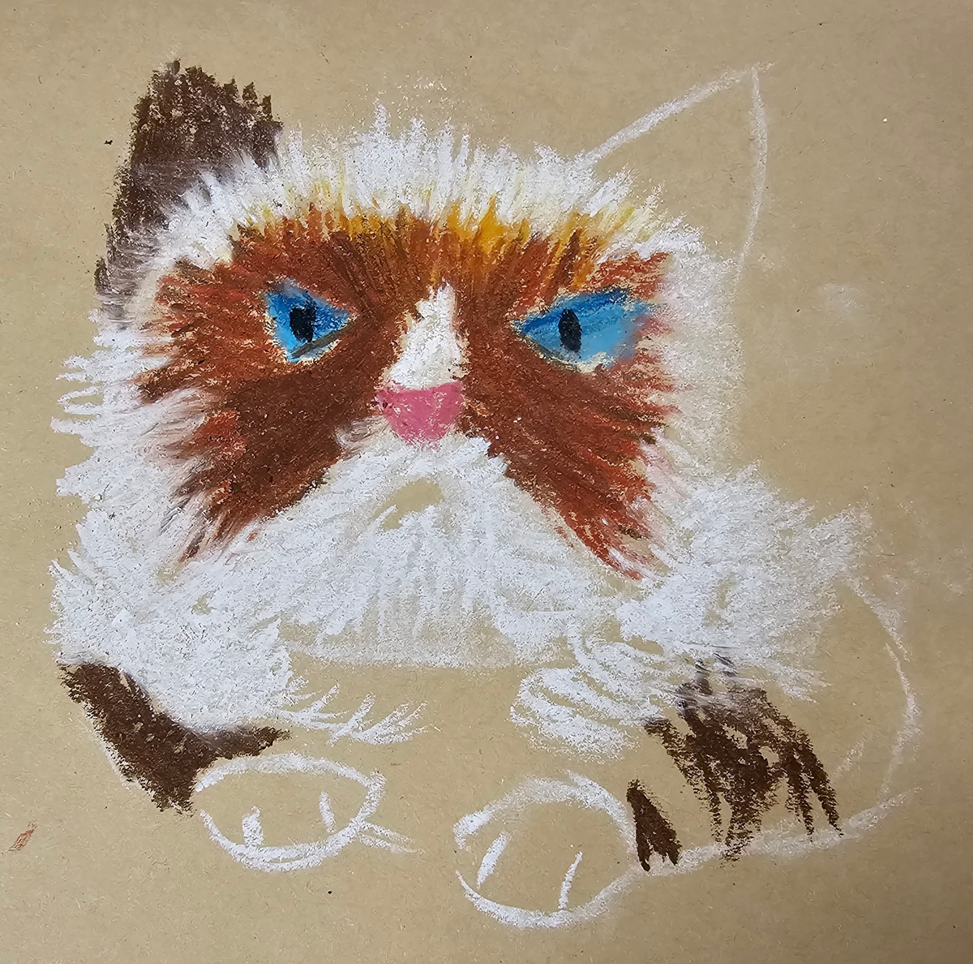 20260109_151654 20260109_151654