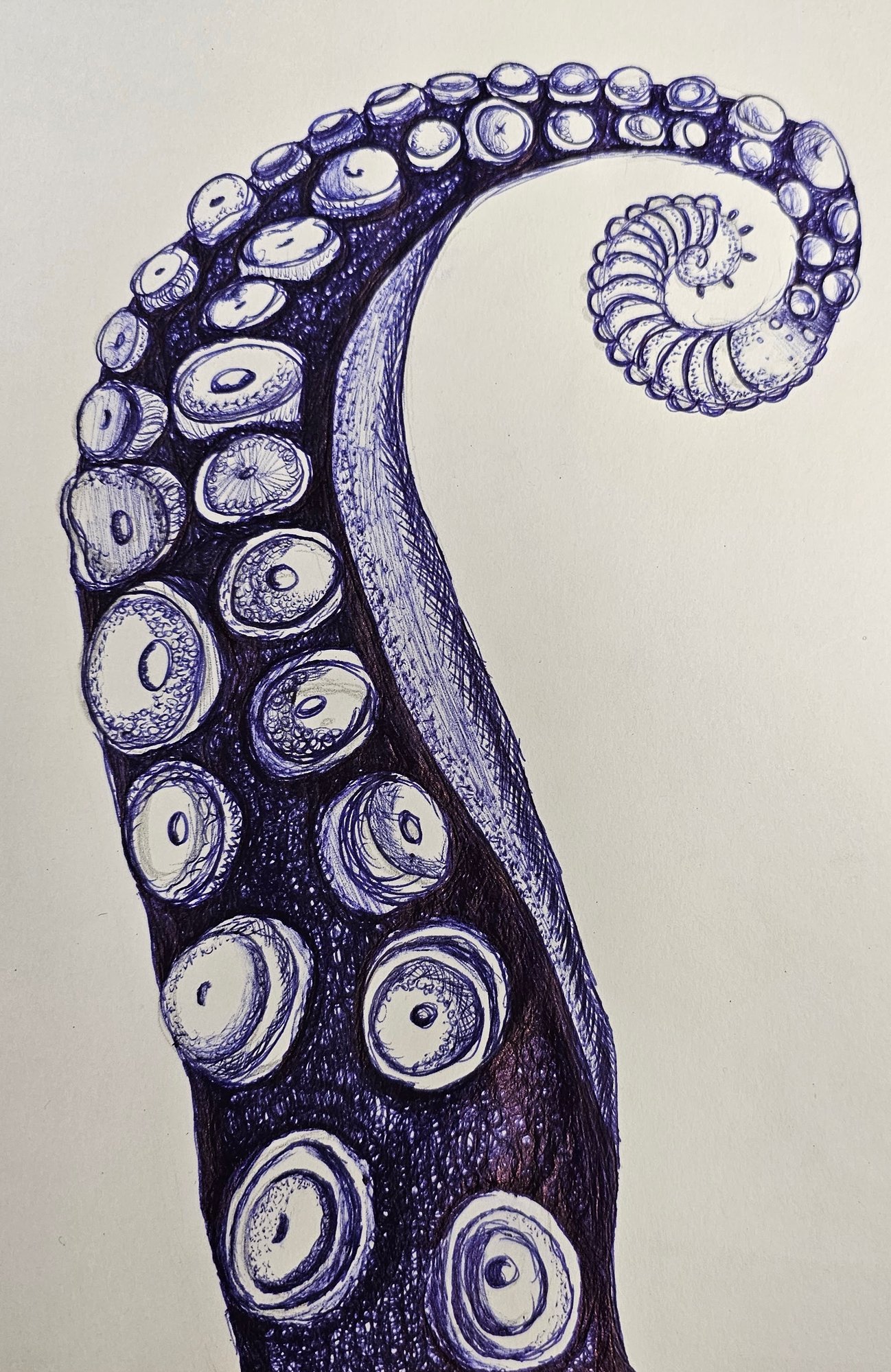 Carlos y10 Art Carlos y10 Art