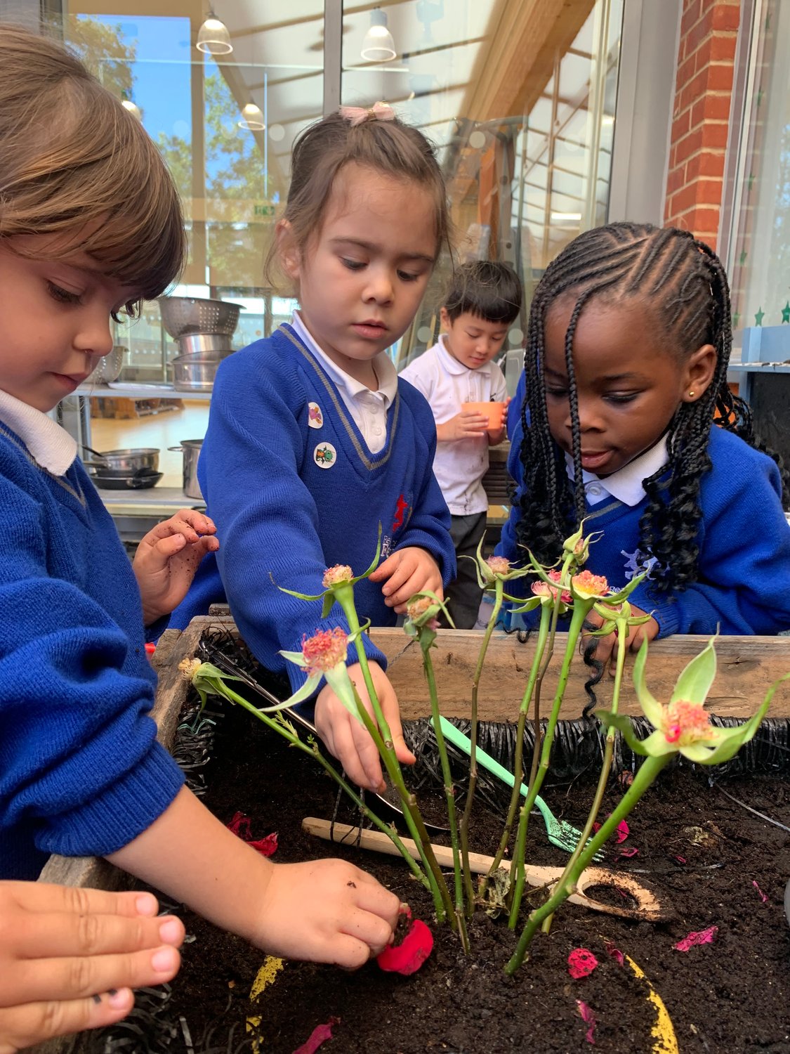 Copy of IMG_6036 Copy of IMG_6036