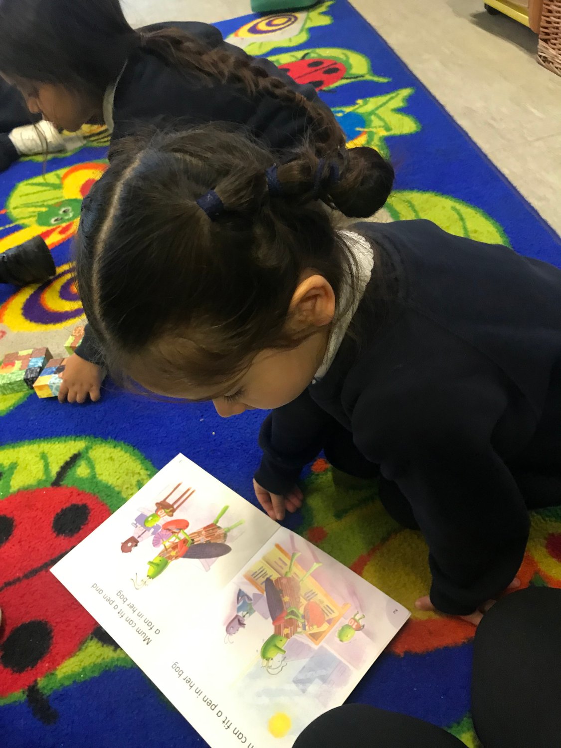 Copy of IMG_6146 Copy of IMG_6146