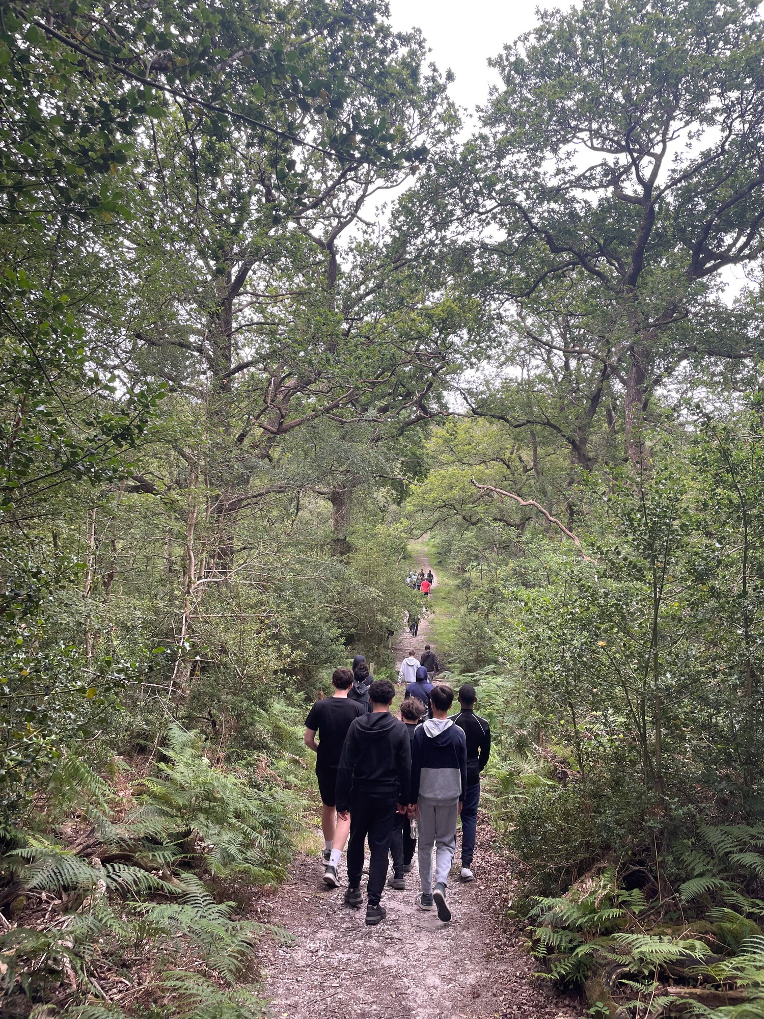 Newsletter C3 W10 Y10 -1 Newsletter C3 W10 Y10 -1