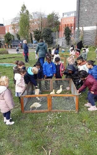 Nursery Farm visit (1)