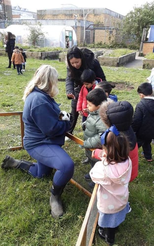 Nursery Farm visit Nursery Farm visit