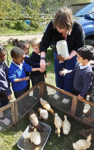 Nursery Farm Nursery Farm