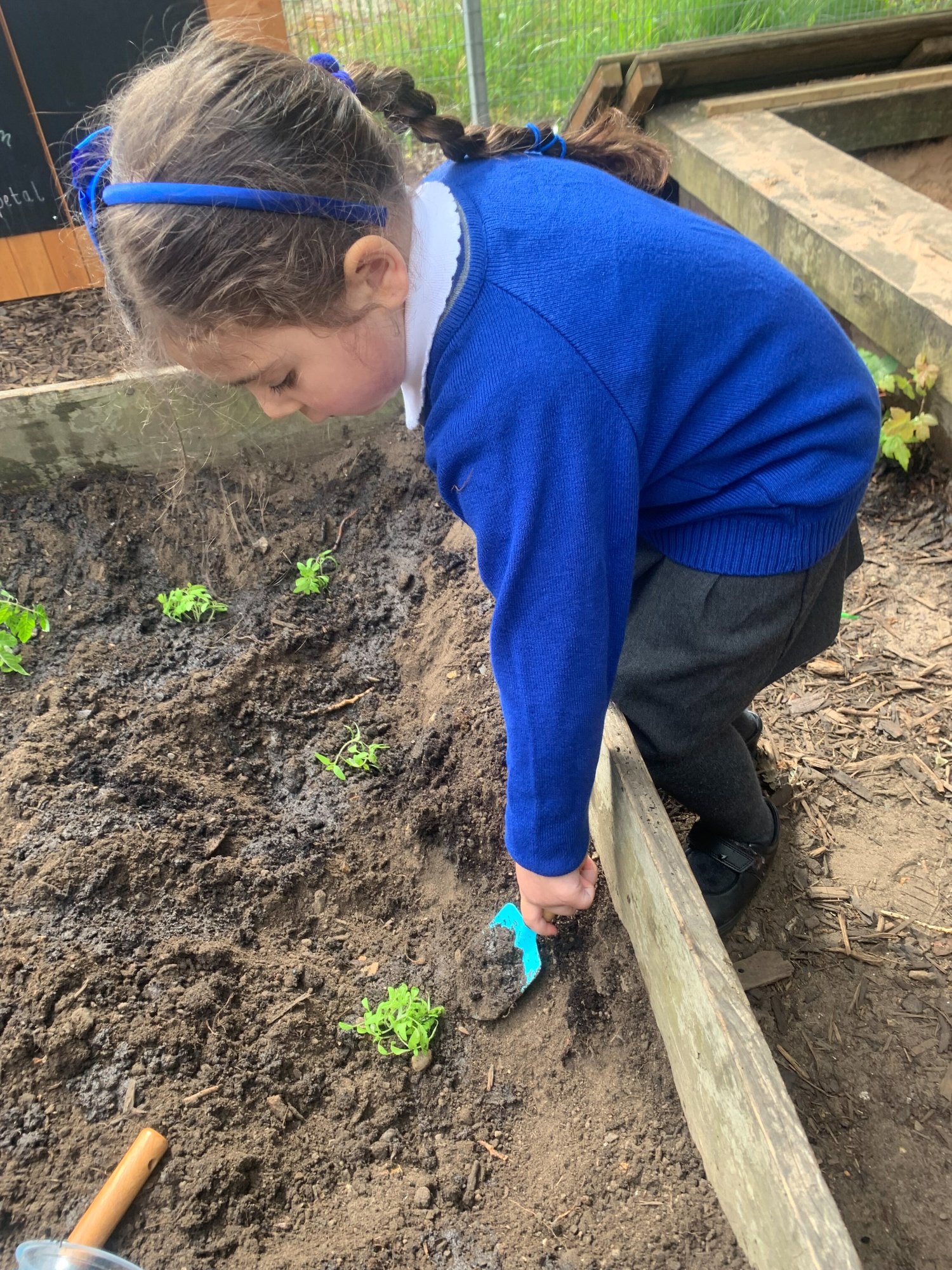 Reach Schools Images cropped -106 Reach Schools Images cropped -106