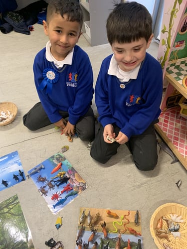 Reception Habitats-1 Reception Habitats-1