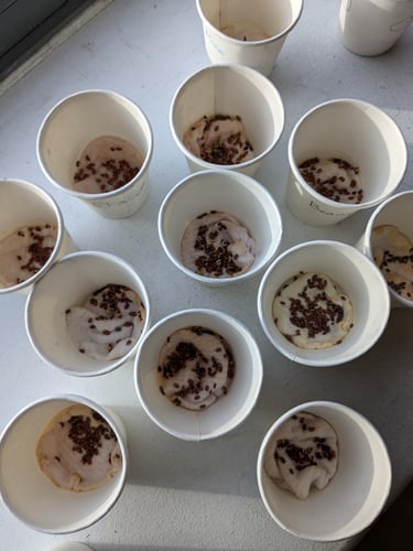 Year 3 cress Year 3 cress