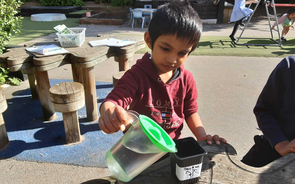 Big goal planting sunflower seeds nursery Big goal planting sunflower seeds nursery