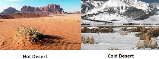 Y2 deserts Y2 deserts