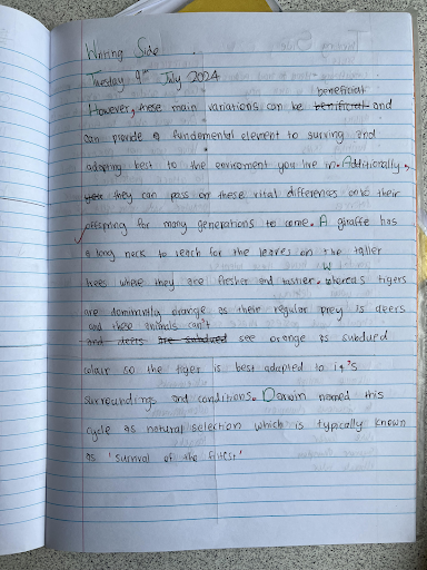 Y5 writing a-1 Y5 writing a-1