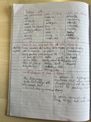 Y5 writing-1 Y5 writing-1