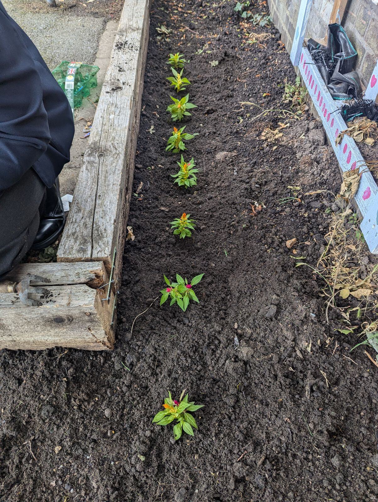 Y9 Community Action Day 2 Y9 Community Action Day 2
