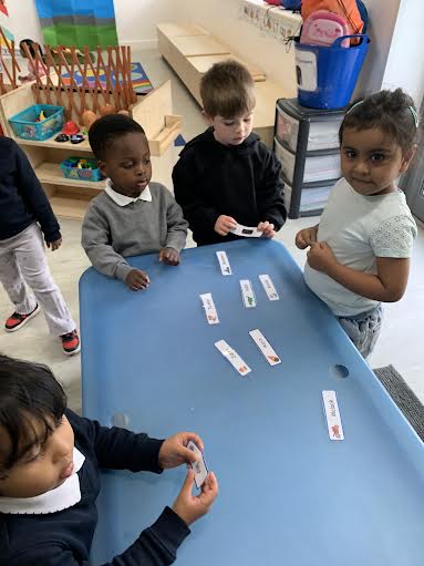 saplings self registration(1)