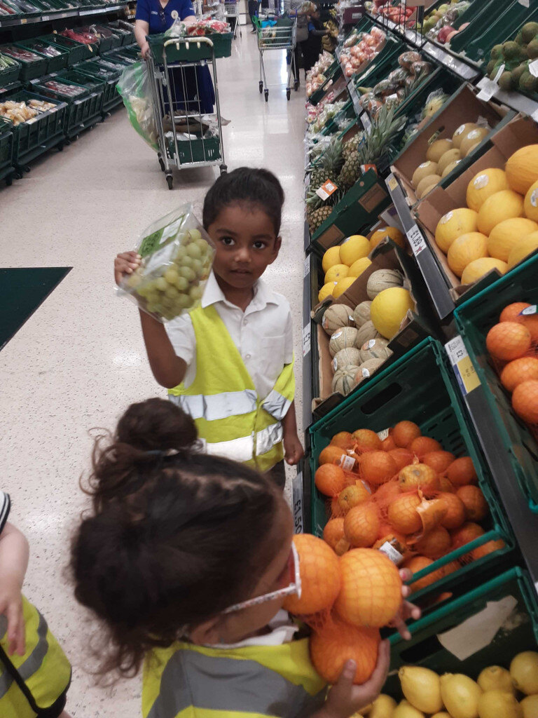 seedlings in tesco seedlings in tesco