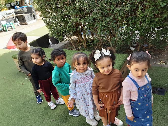 seedlings lining up-1 seedlings lining up-1