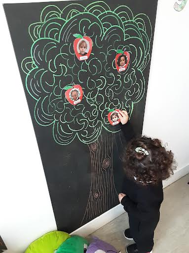 seedlings self registration-1 seedlings self registration-1